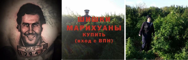 прущие крисы Верея