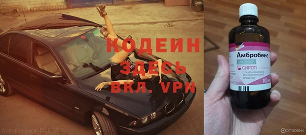 прущие крисы Верея