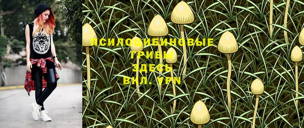 прущие крисы Верея